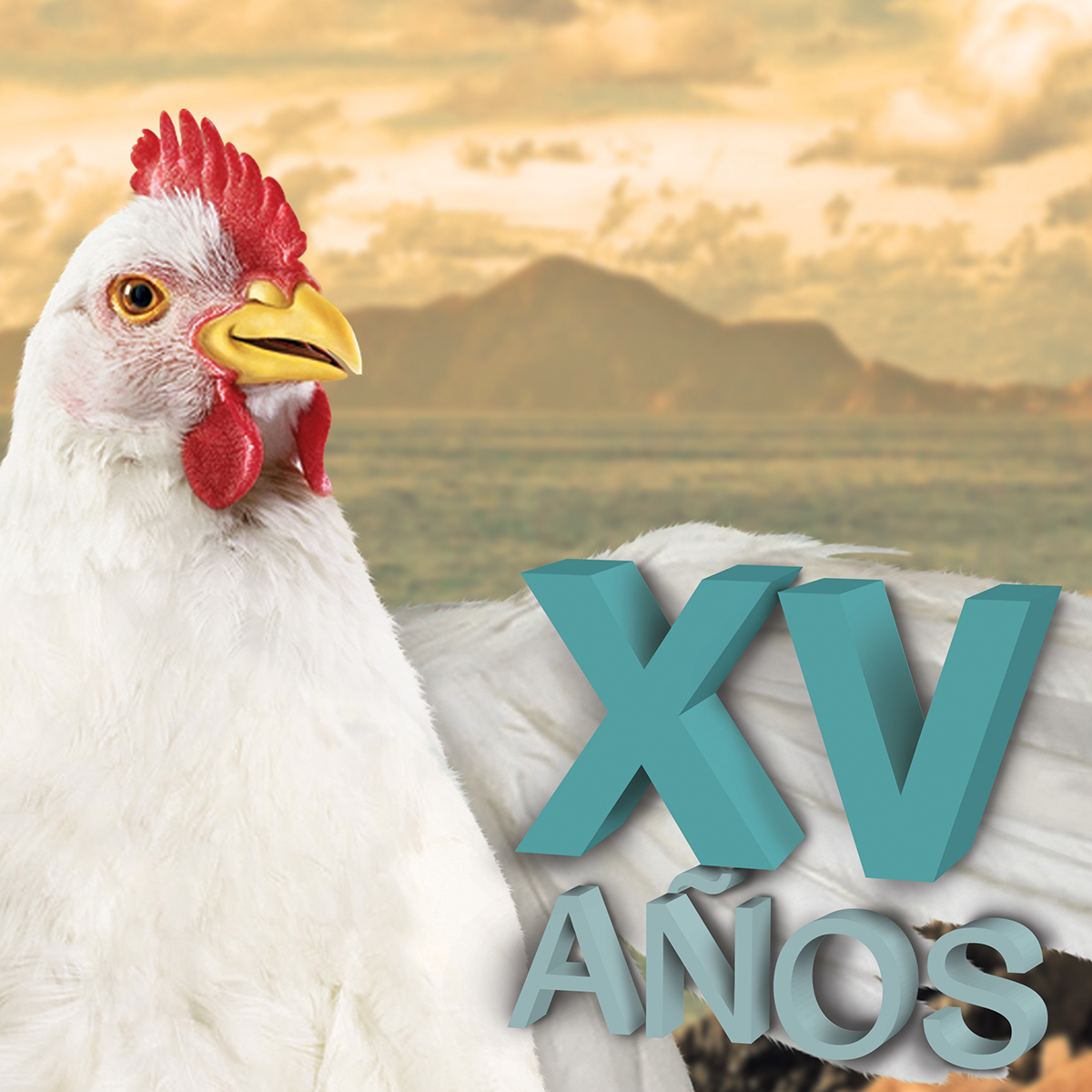 chicken veterinaty congreso cientifico AVECA-G asociación pollos médicos publicidad manzanillo colima playa diseño publicity arte