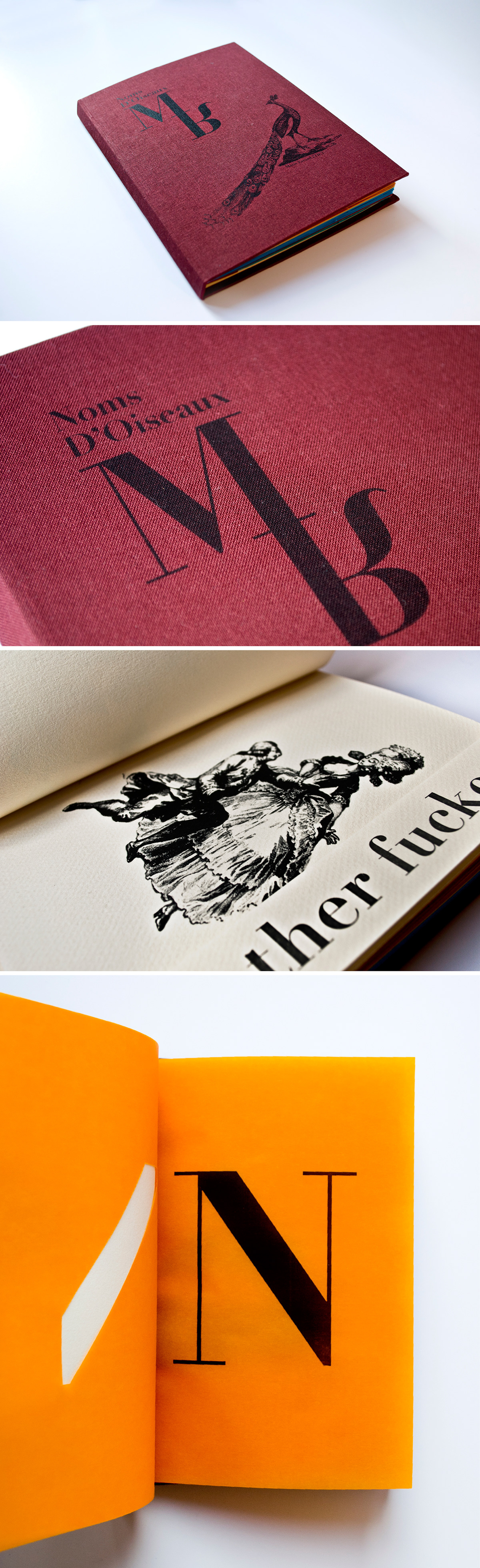 book paper fold folding design insultes gravure engraving colorfull