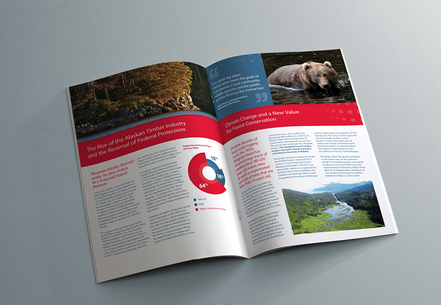 brochure infographics info graphics Charts animals climate brochures clean animal Island print