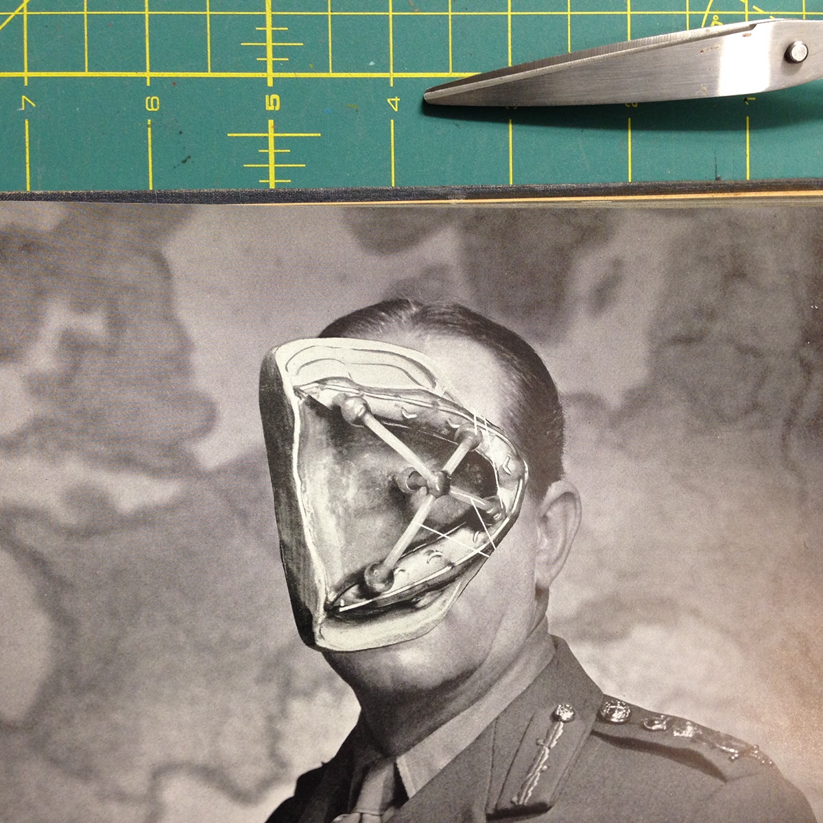 Adobe Portfolio art collage chavetta gluepaperscissors silvermule