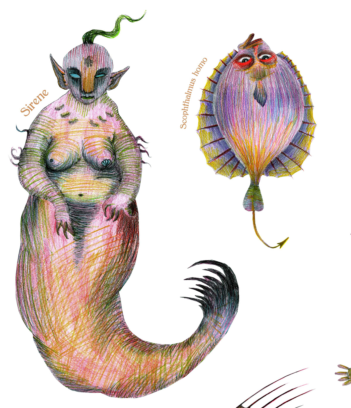 ILLUSTRATION  fish  sea monsters  Monsters   devil  Deer  drawing  tree  fairy tale siren  sirens Triton