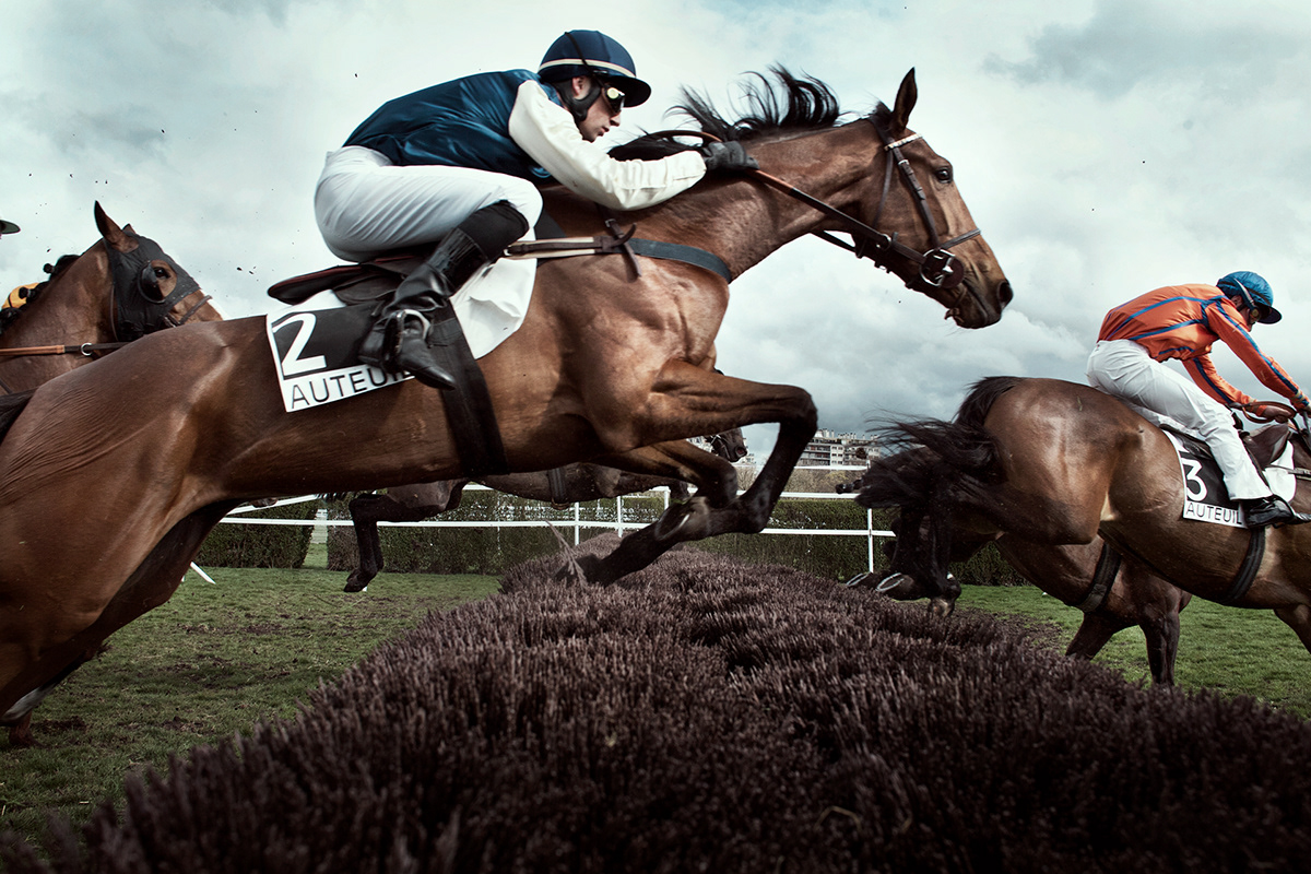 horses jockeys races track