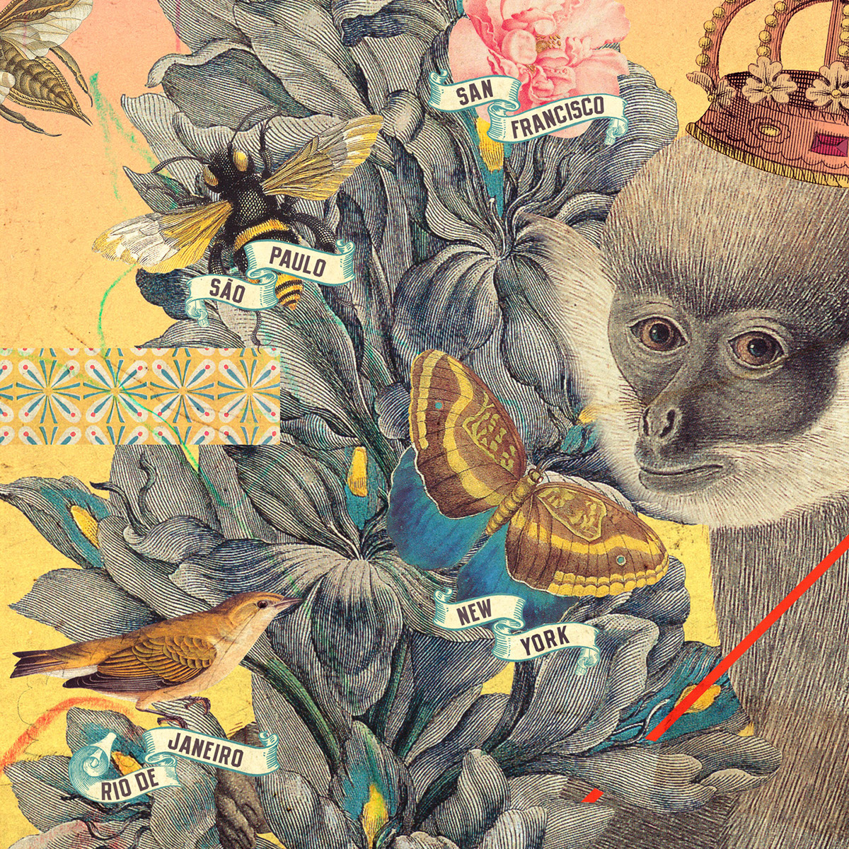 poster print africa collage animals monkey Flowers