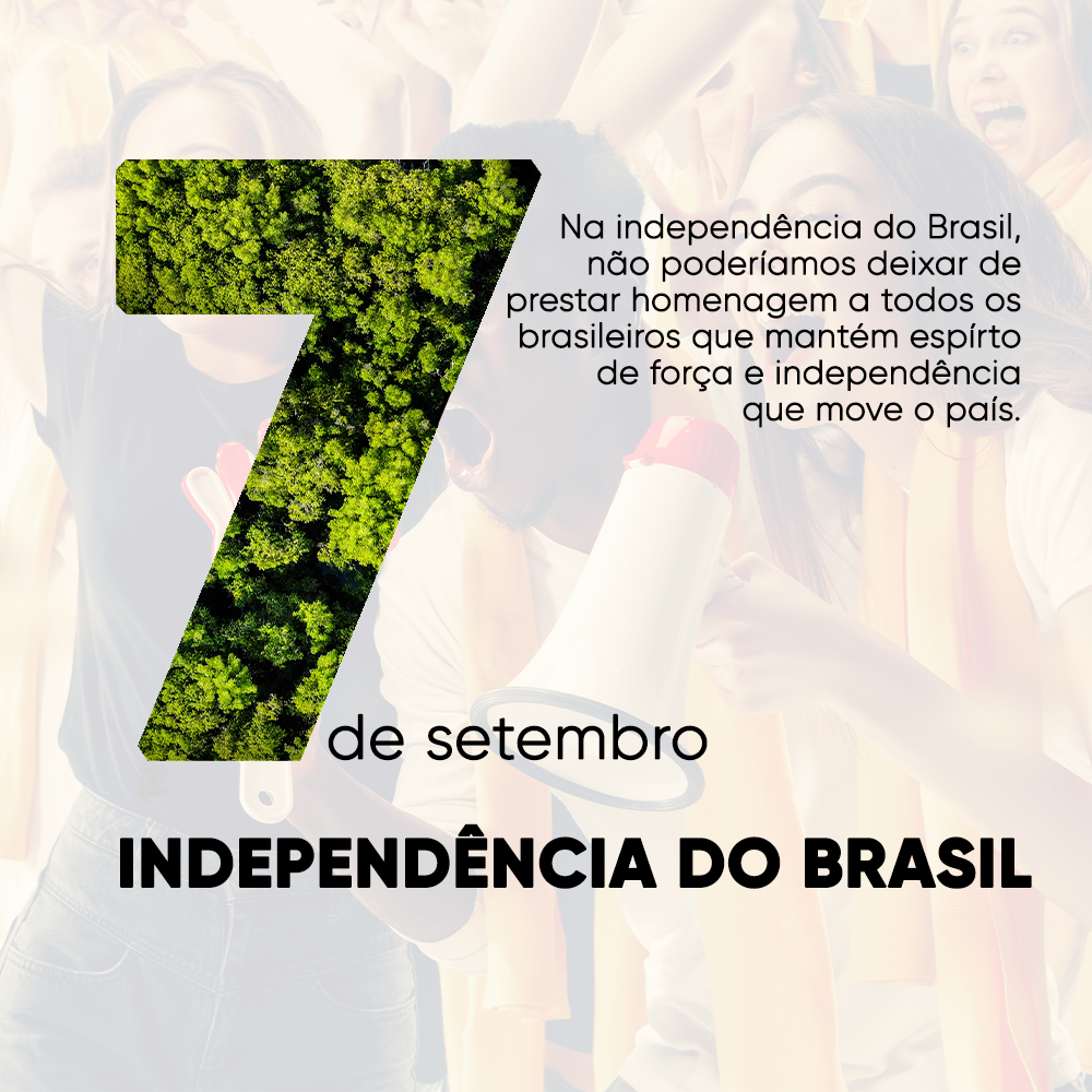 7 de setembro Brasil design gráfico Independencia Independência do Brasil marketing   Socialmedia