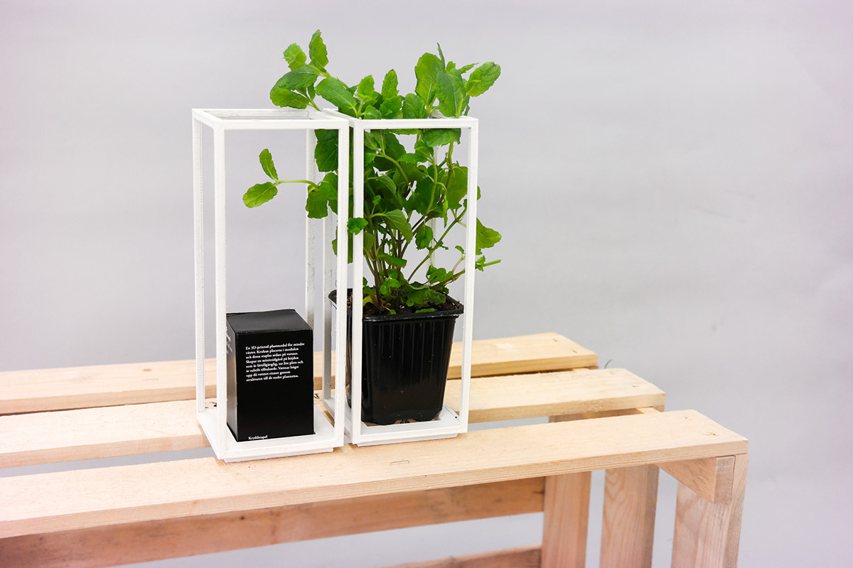 3D botany module garden grow Herb Plant green pot