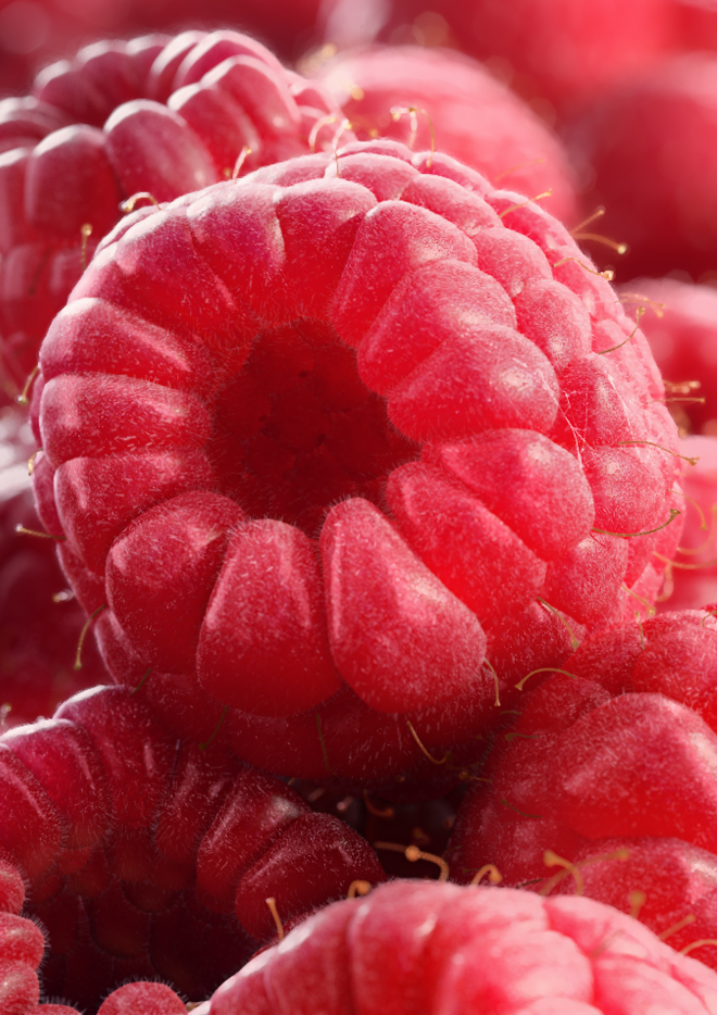 Raspberry day raspberry Day fruits Frash fruits SUNNY DAY yammy