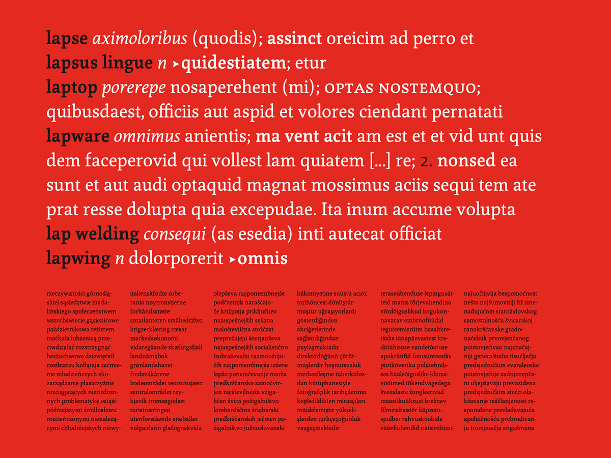 słownik dictionary dictionary typeface text typeface structures