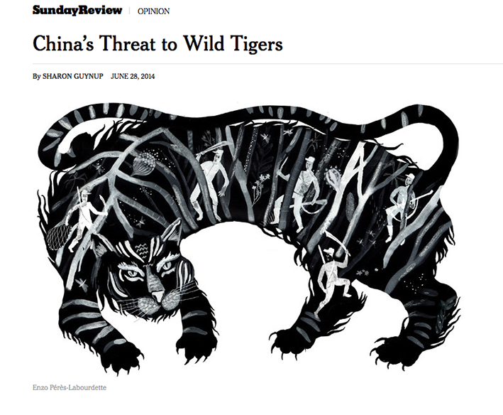 editorial tigers poaching illegal Hunt blood newspaper black White Leo