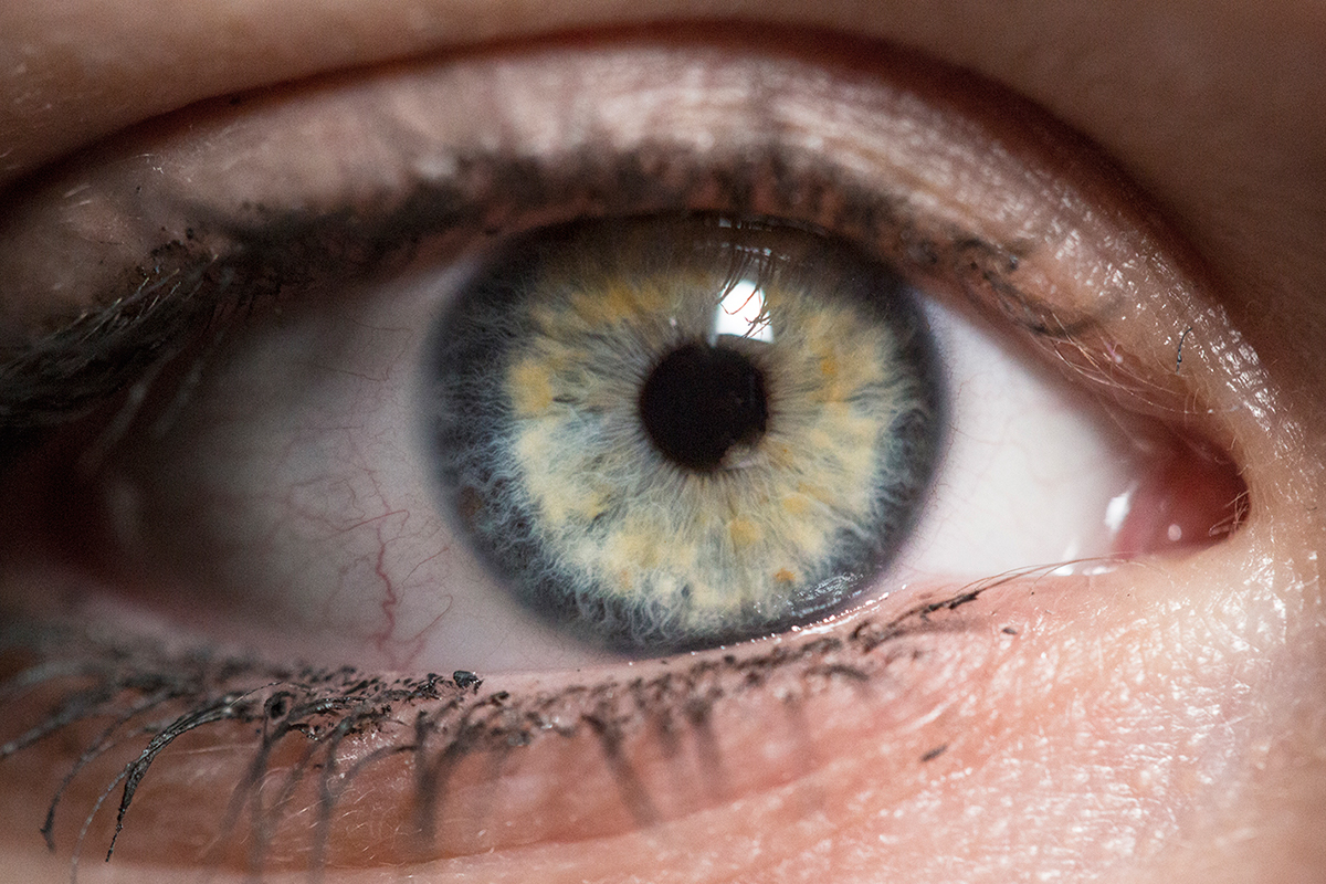 eye iris macro texture colour model spectrum close up stare
