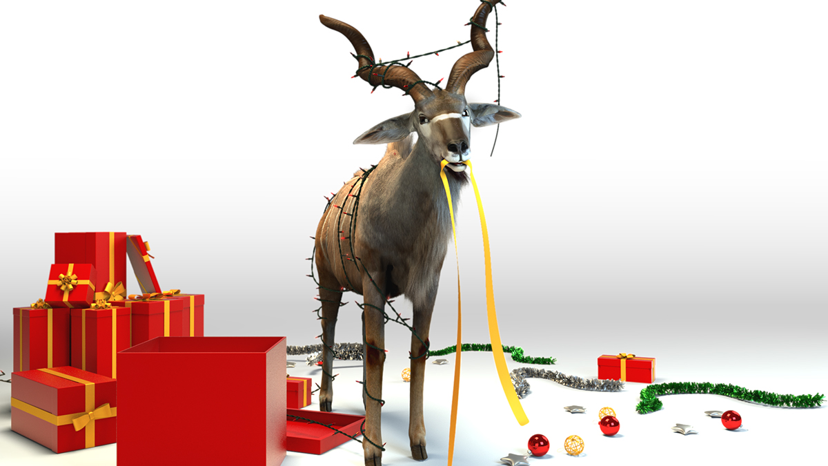 south africa Maya nuke Christmas 3D 3d design 3d animation PriceCheck photo realistic rendering tv buck animal