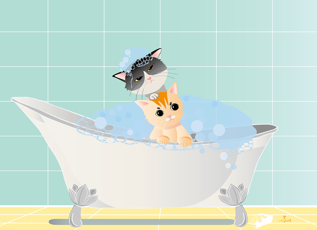 bubble bath Cat