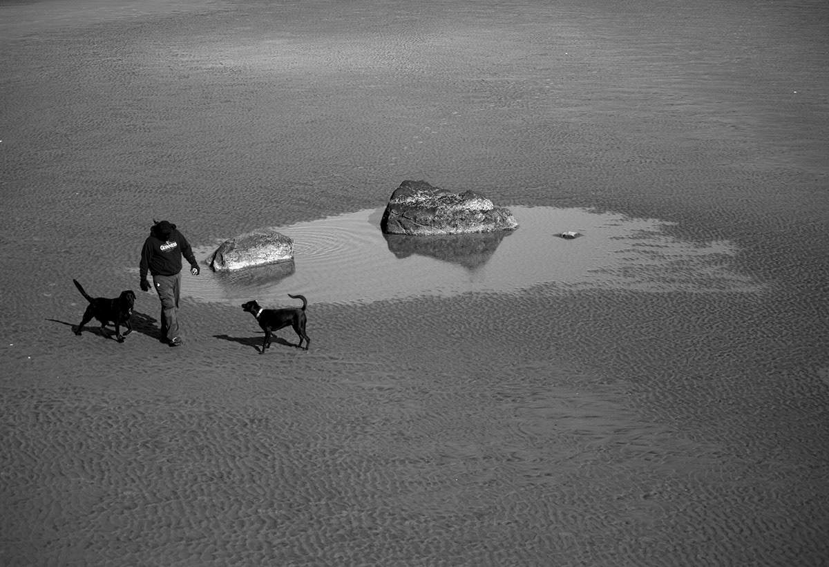 friend dog dogs Doggies Centaur beach Ocean Central Park Fisherman