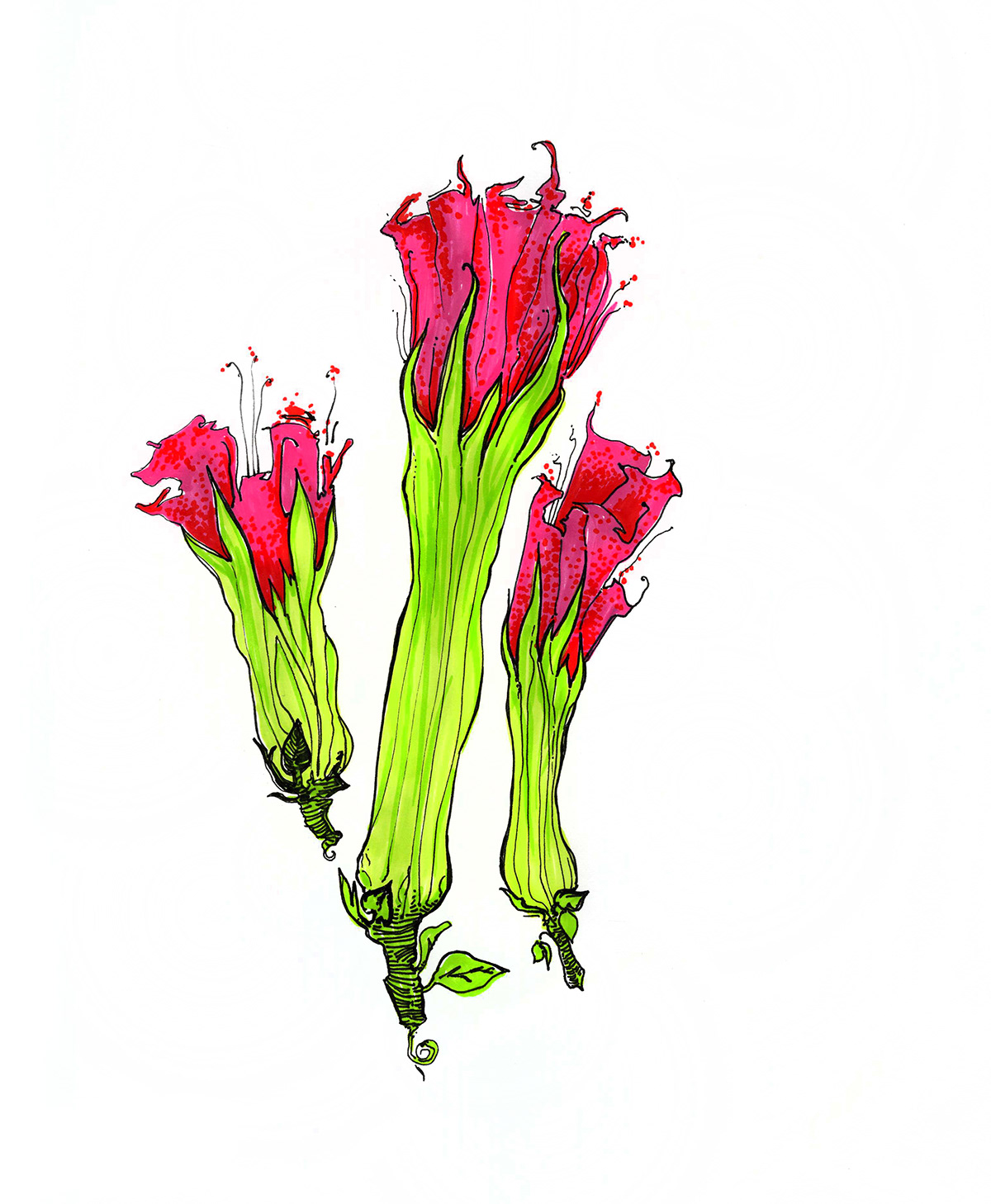 Flowers drawings sketchbook Textiles florals repeats realistic