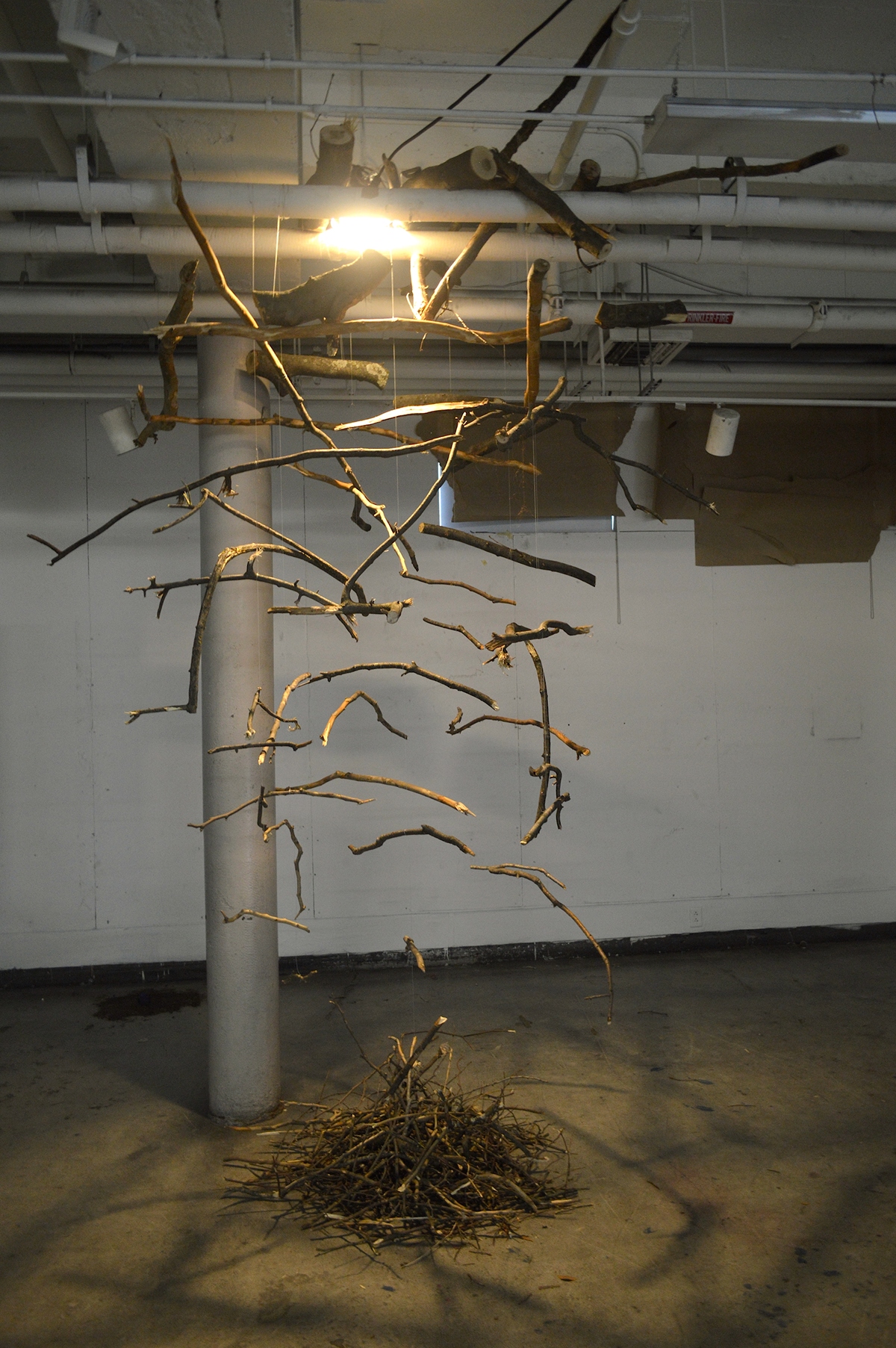 site specific processing branches treees Nature Spatial Dynamics installation