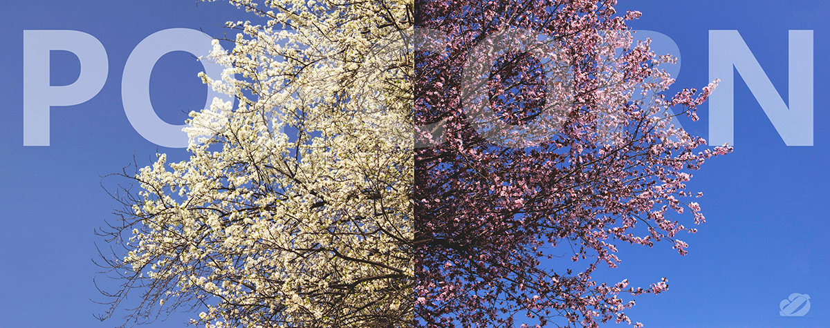 weather tea autumn winter season new year spring feelings photos Editing 