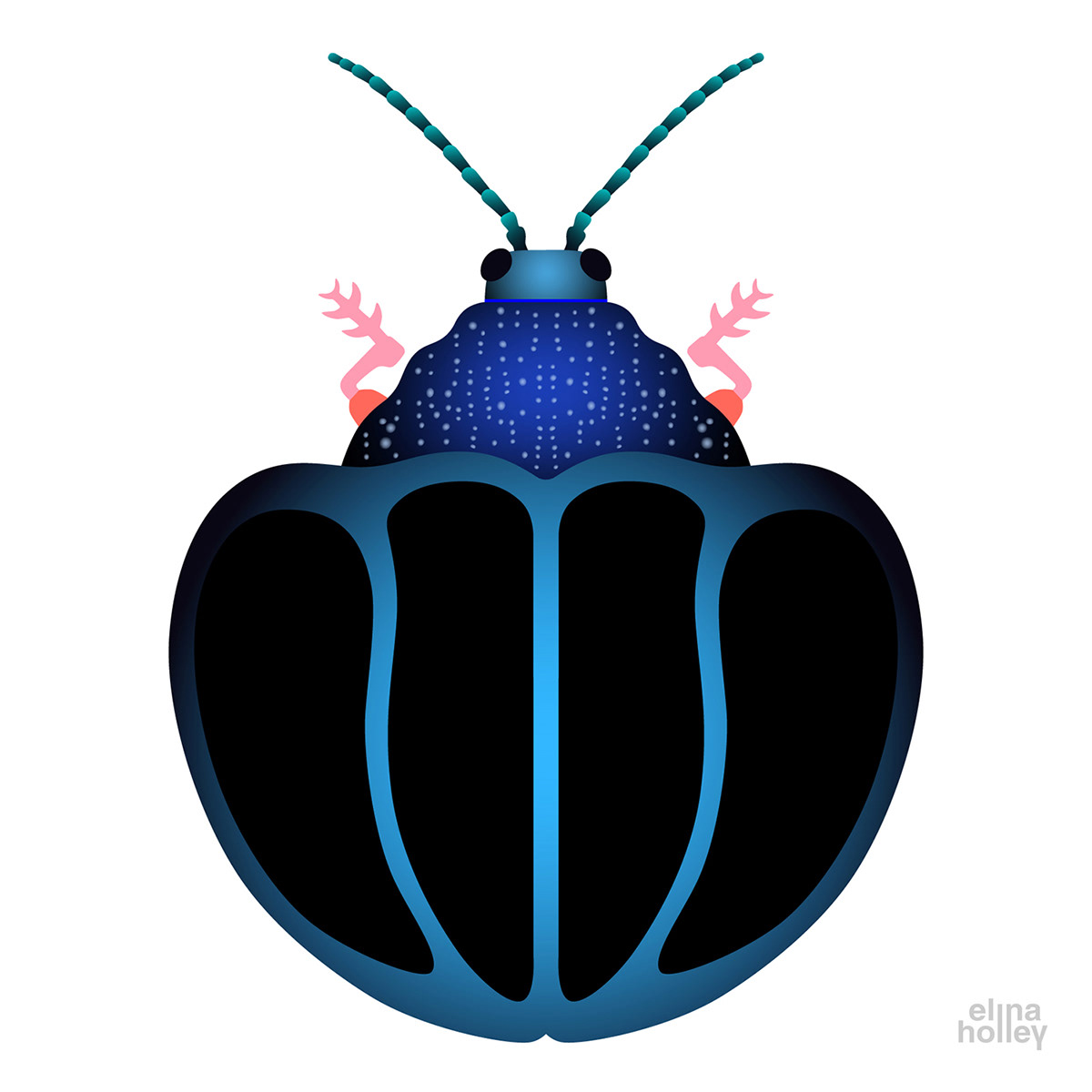 beetle bug card Digital Art  fine art ILLUSTRATION  insect Interior Decoration poster Vector Illustration