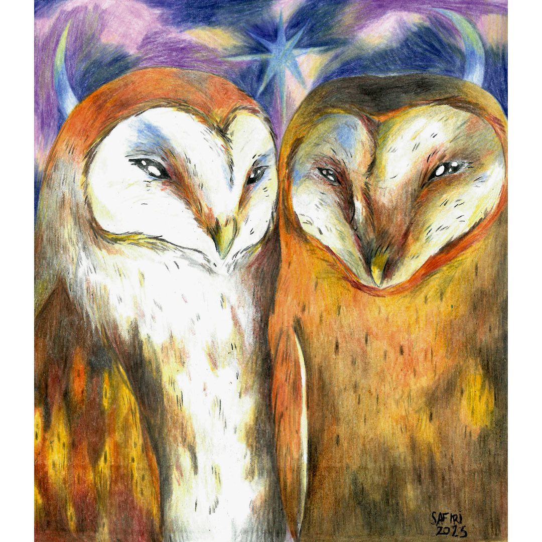 ILLUSTRATION  ilustracion TRADITIONAL ART children's book animals illustration ColorPencil owl