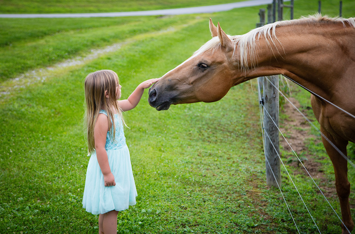 horse girl Kentucky blue dress green racehorse