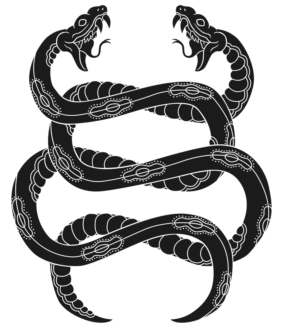 grunge poster design brmc BLACK REBEL motorcycle club tattoo flash snakes gig poster vector snake Flash broken guitar