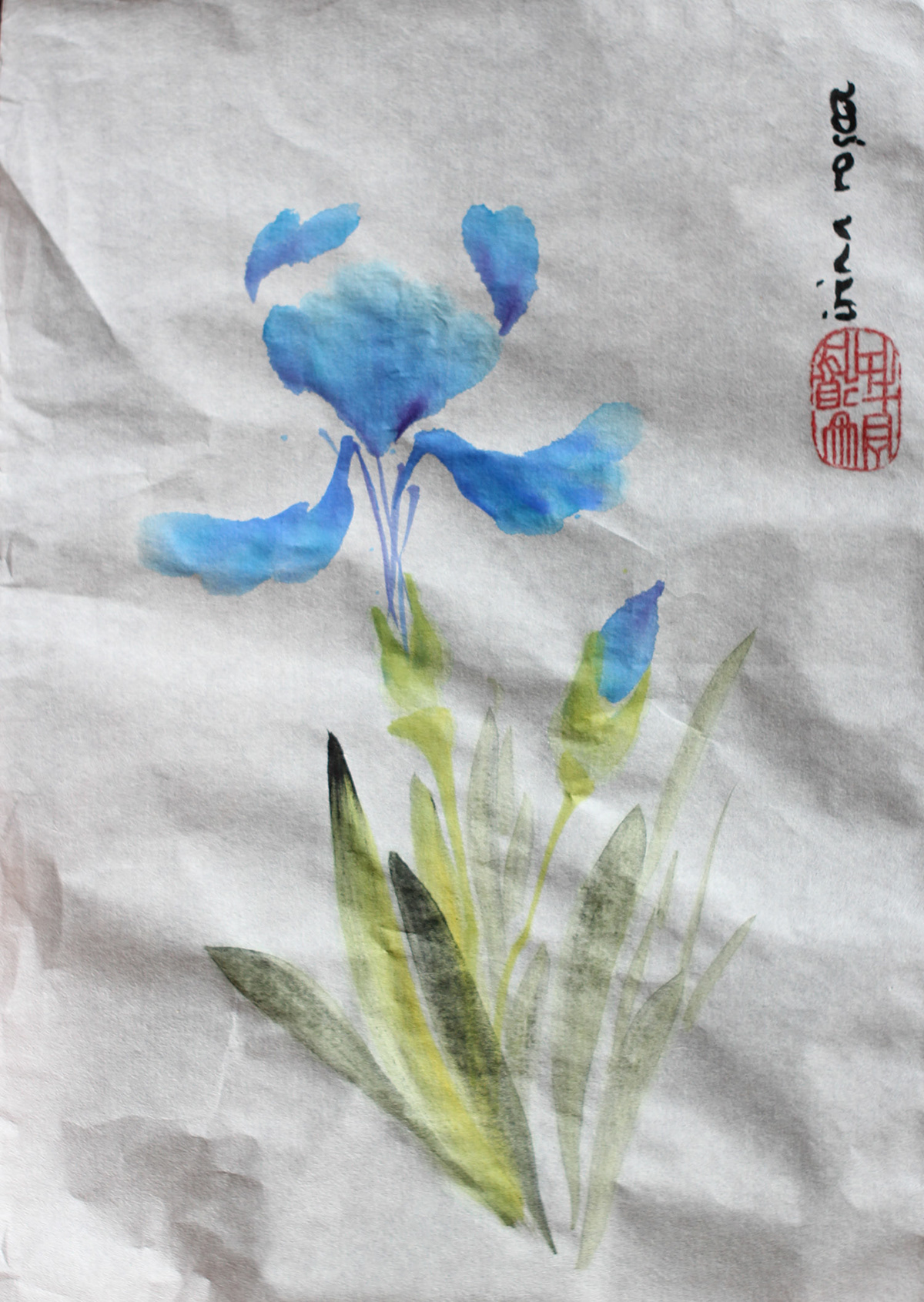 one stroke brush painting zen chinese rice paper watercolor flower blue iris spring bearded iris