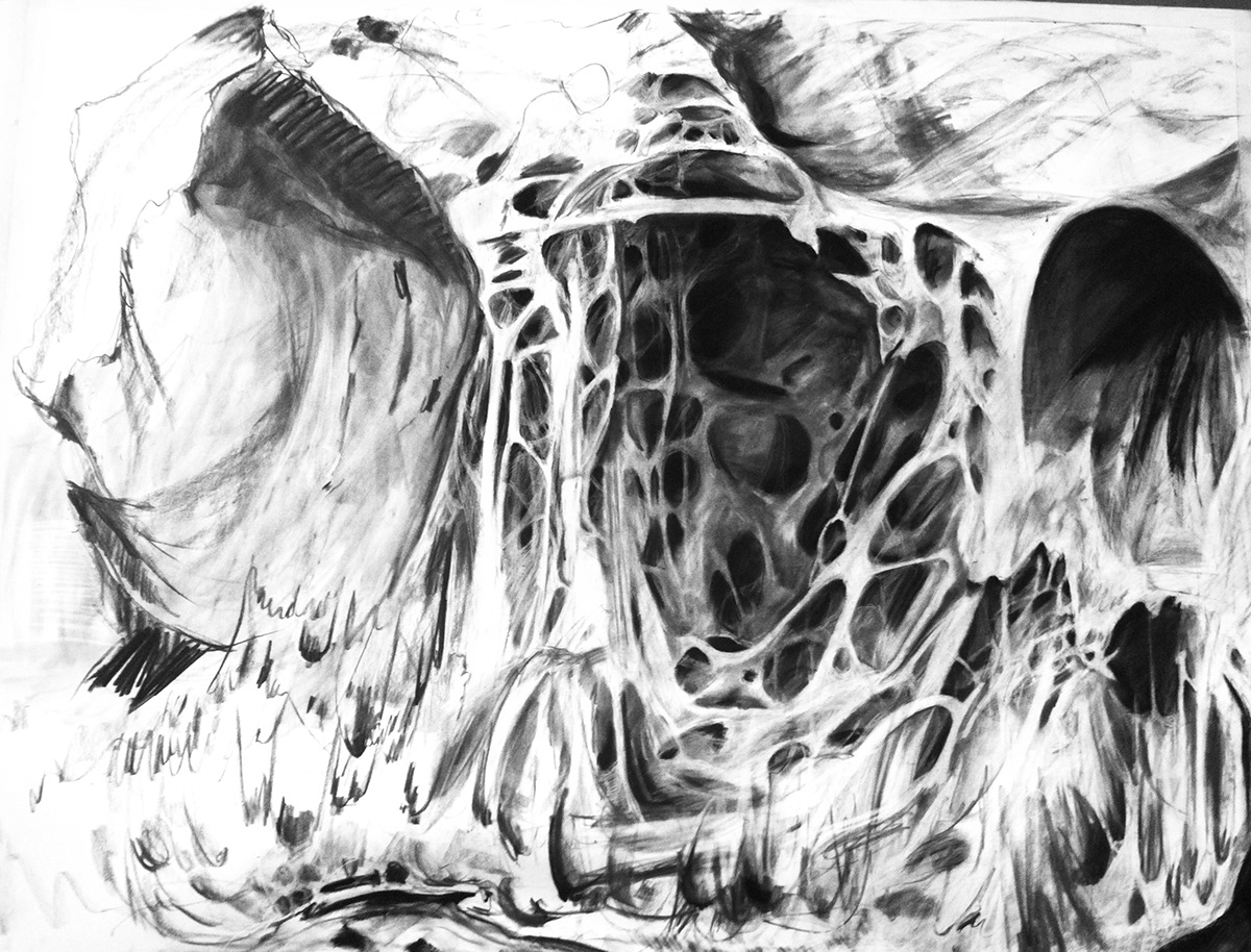 foundations fine art charcoal stop motion