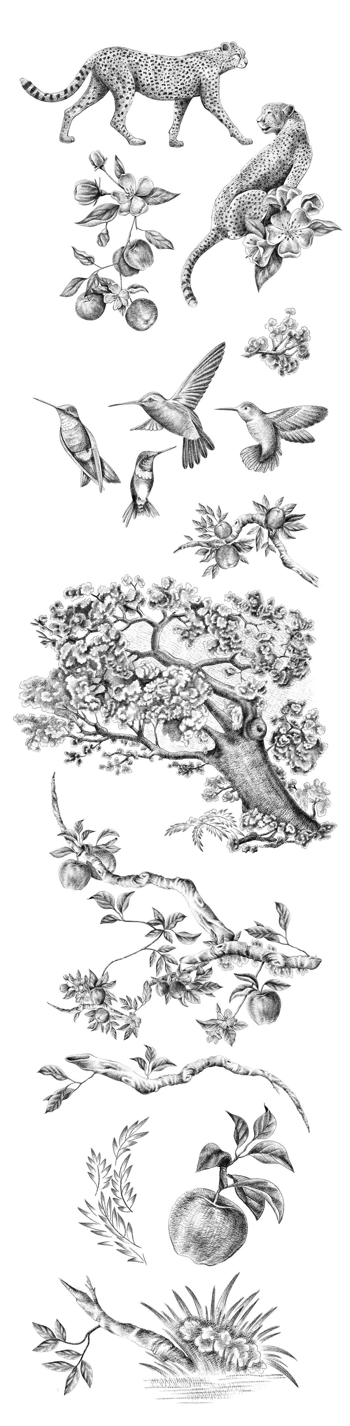 toile de jouy print pattern etching cheetah Style hummingbird textile design  Apple Tree vintageillustration