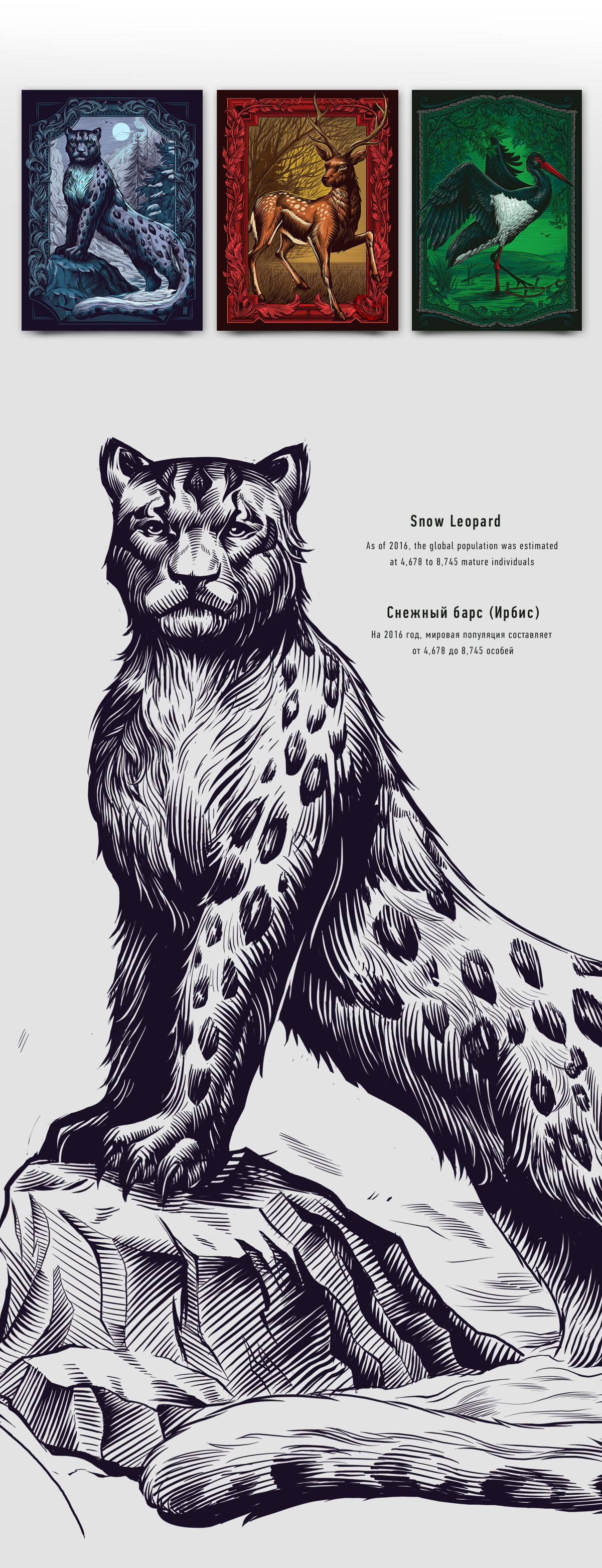 red book Snow Leopard stork leopard engraving Retro Style poster art sokolov