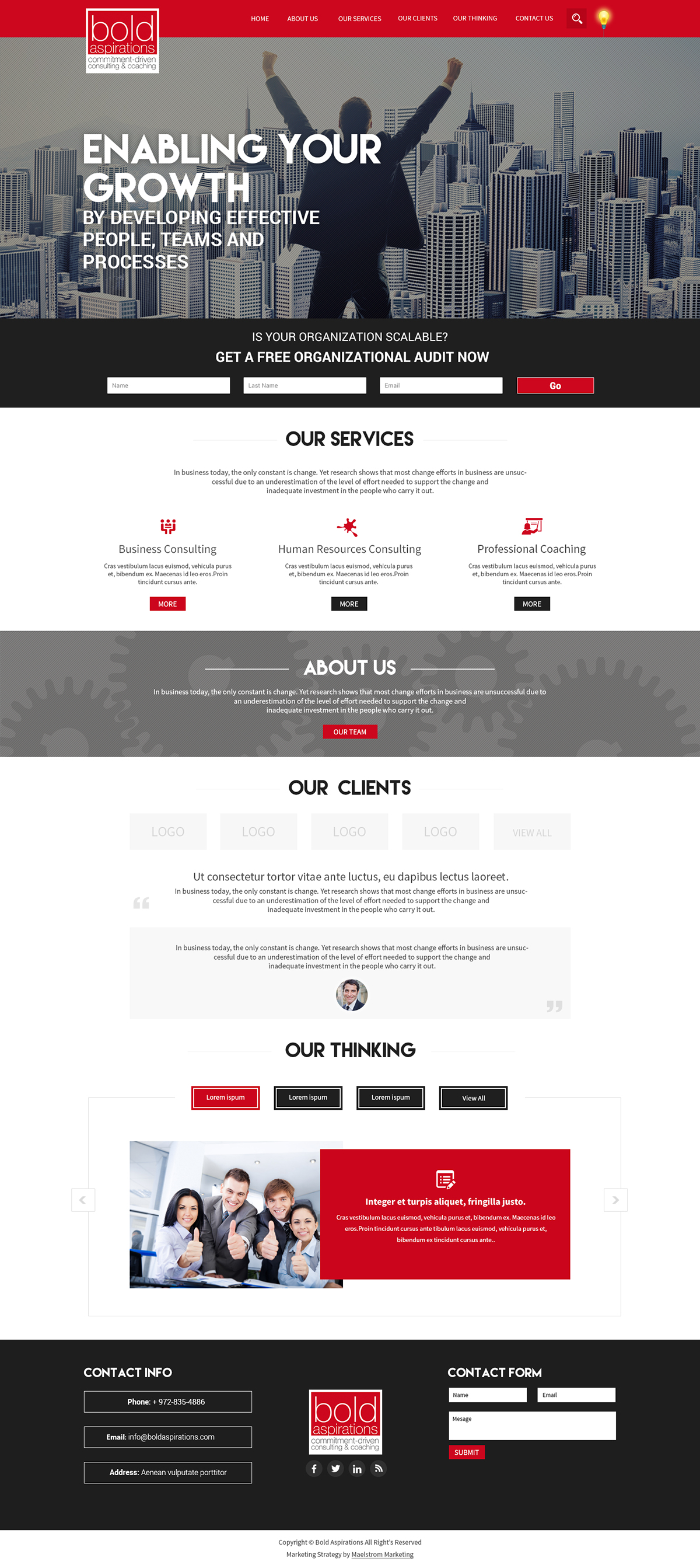 hexa tiger michael peres mikey peres web design california Web Design web development