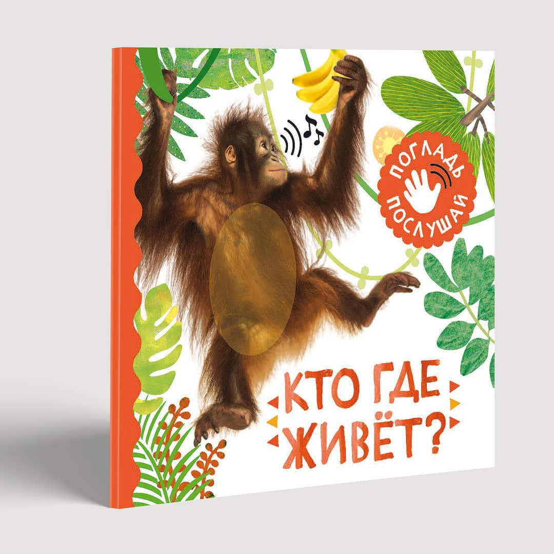 ILLUSTRATION  Graphic Designer design children's book tactile book kids illustration Picture book
