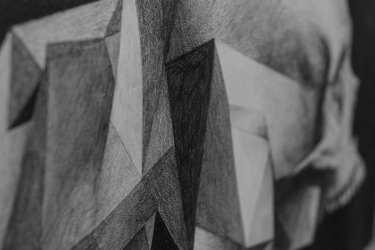 wildlife contemporary istanbul pencil paper ram trigonal broken mesh distortion deformation