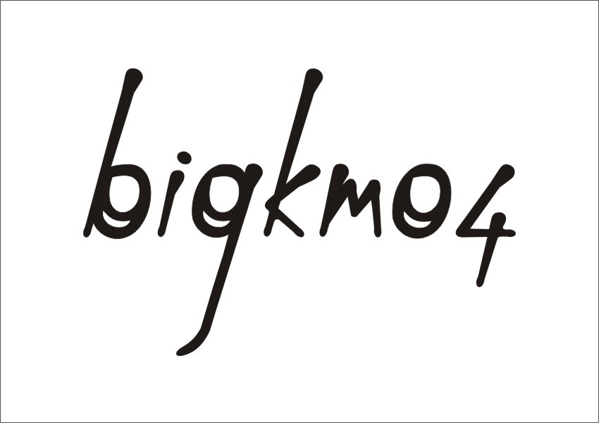 diseño gráfico  tipografia gestual  tinta china pluma de ave  vectorizacion  caligrafia