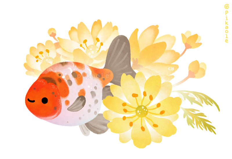goldfish Adonis spring sakura Cherry Blossom ranchu oranda fish line theme underwater
