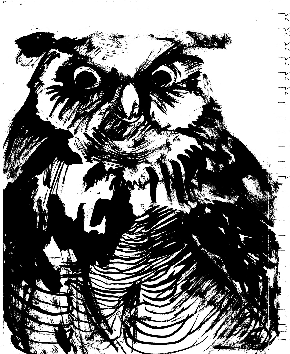 ink ink nib observational drawing art Visual Development owls birds animals narrative portrait wildlife stuffed