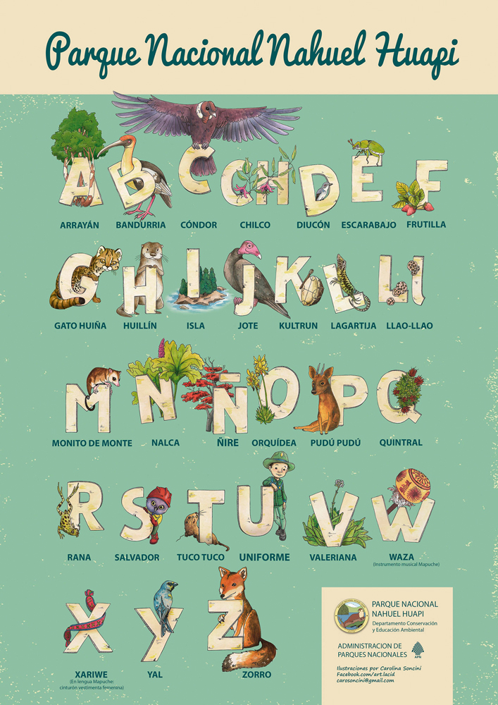 children kids learn Flora fauna Nature animals plants alphabet ABC argentina bariloche National Park Park Preserve