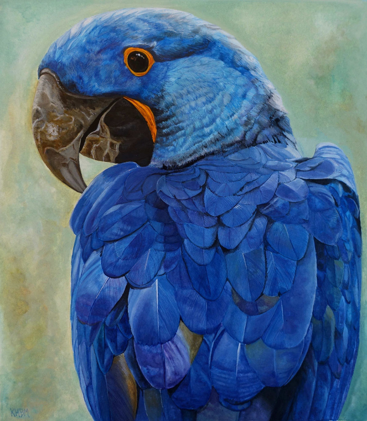 hyacinth macaw watercolour Sennelier parrot bird avian painting   blue Fine Arts  traditional