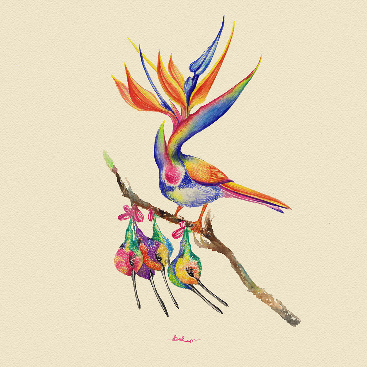 bird watercolor