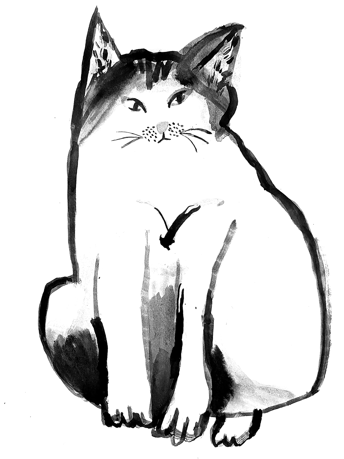 sketch artwork Drawing  ILLUSTRATION  ink drawing Character design  painting   cats illustration fine art