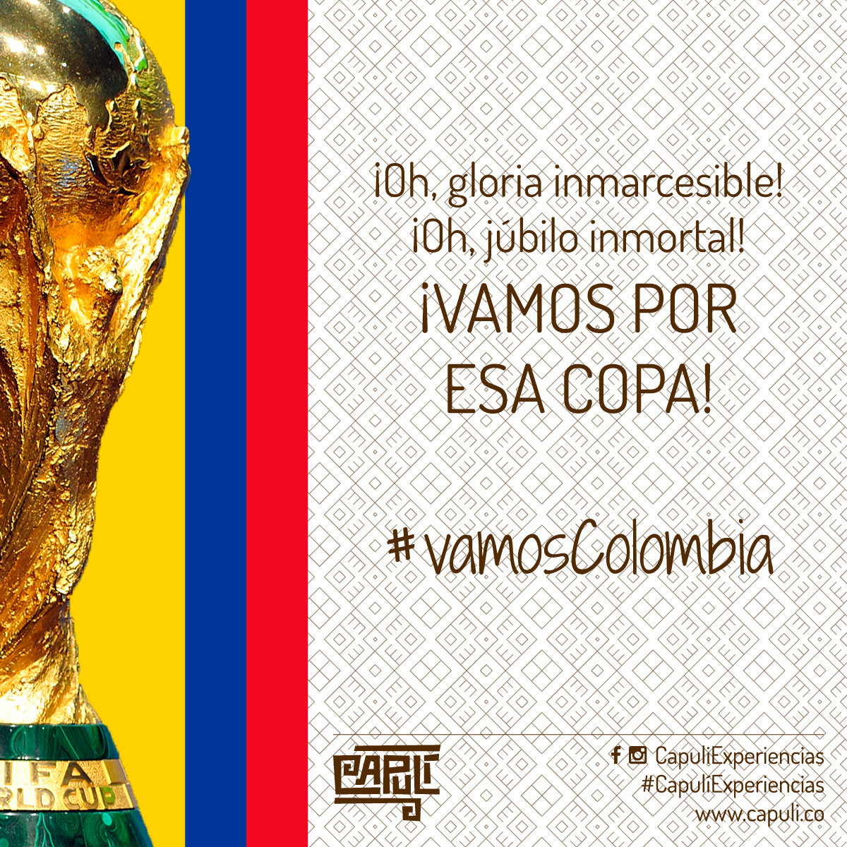 colombia Futbol soccer mundial world cup marketing  