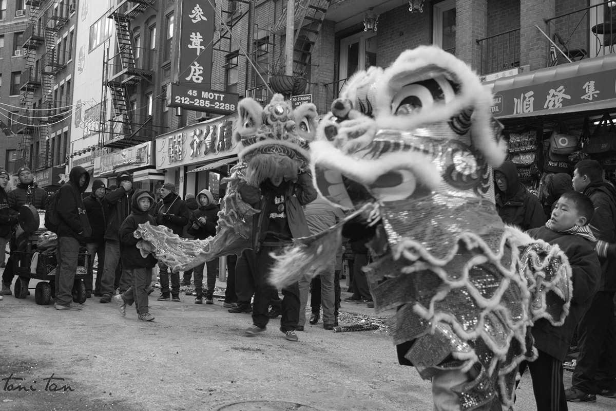 chinatown chinese new year new york city nyc New York
