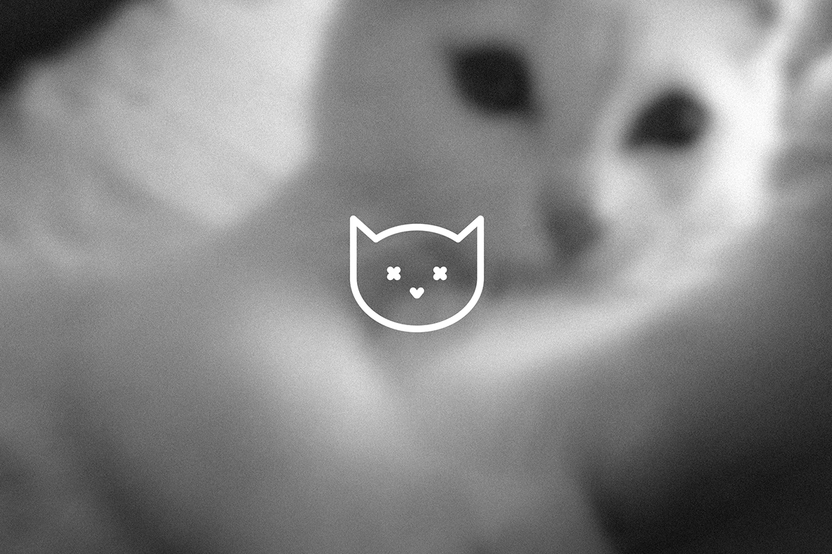 Cat Animal Kitten Black Icon Graphic by stembastudio · Creative