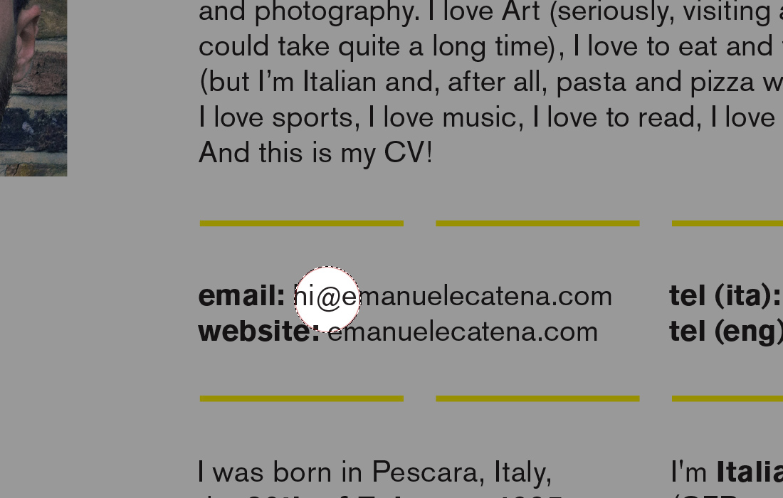 Resume CV Curriculum Vitae Emanuele Catena