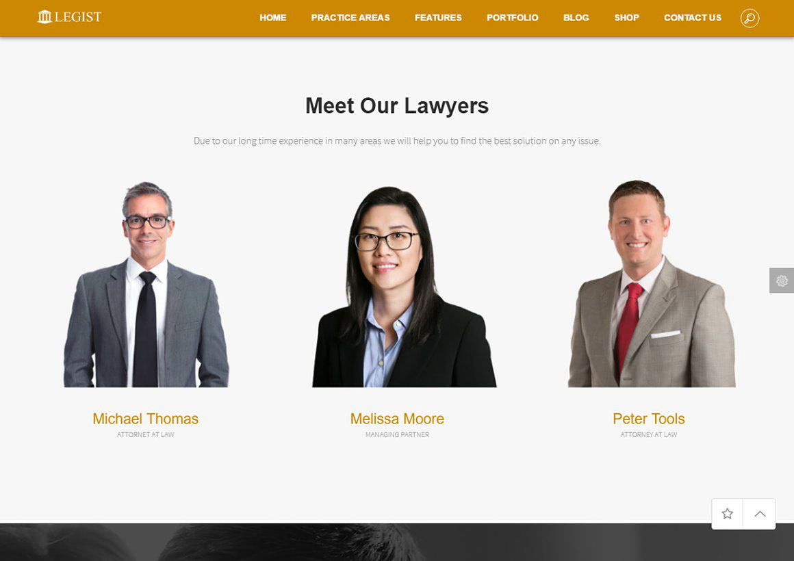 lawyer Barrister solicitor advocate adviser Legal Practice Trial attorney counsel law