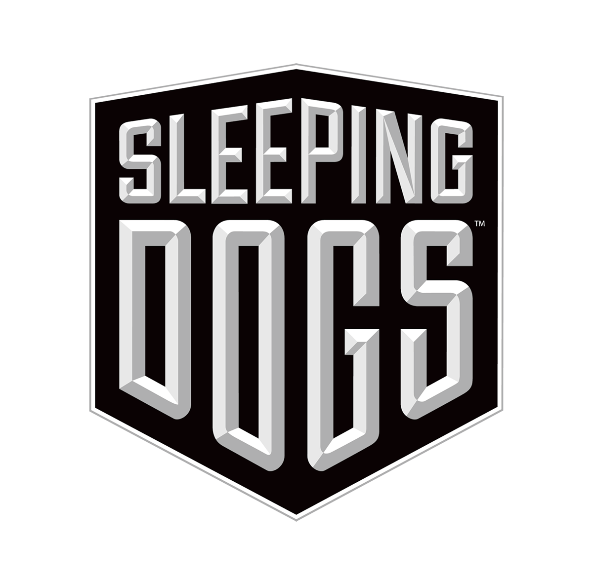 video game  poster Tyler Stout sleeping dogs