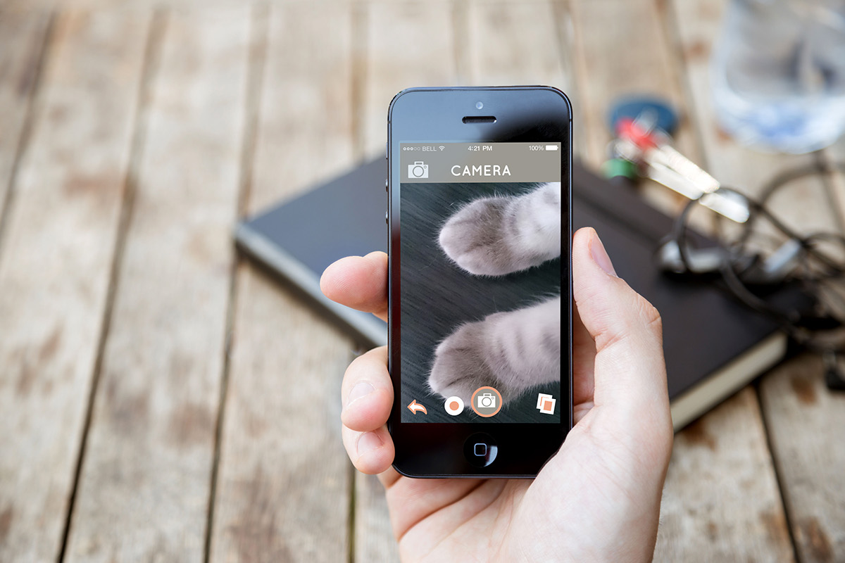 Mobile Application ios Cat Pet Chat smartphone