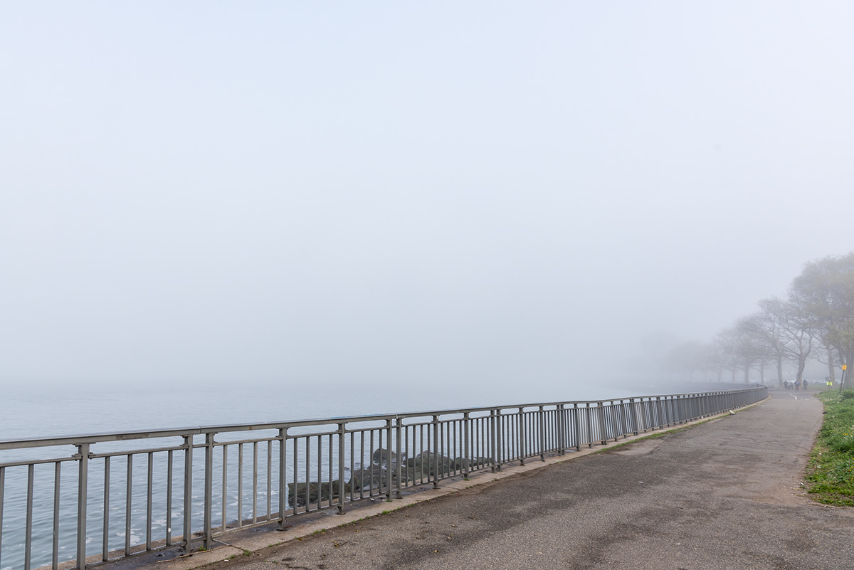 Brooklyn fog jogging Landscape New York parks Photography  running verrazano bridge