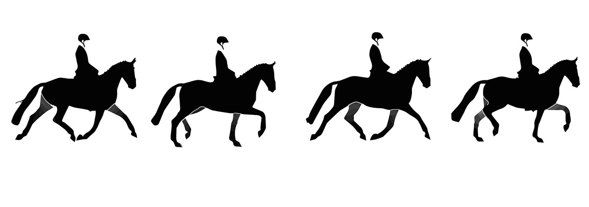 dressage horses caballos carteles