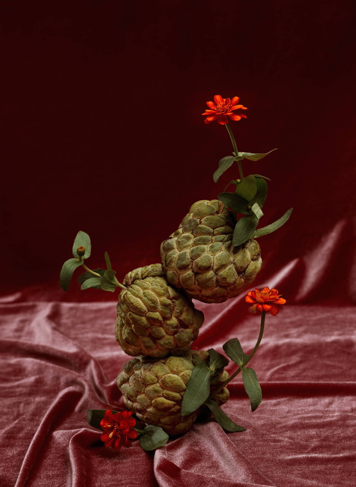 art foodart foodphotography Fruit Photography  product stilllife stilllifephotography tet