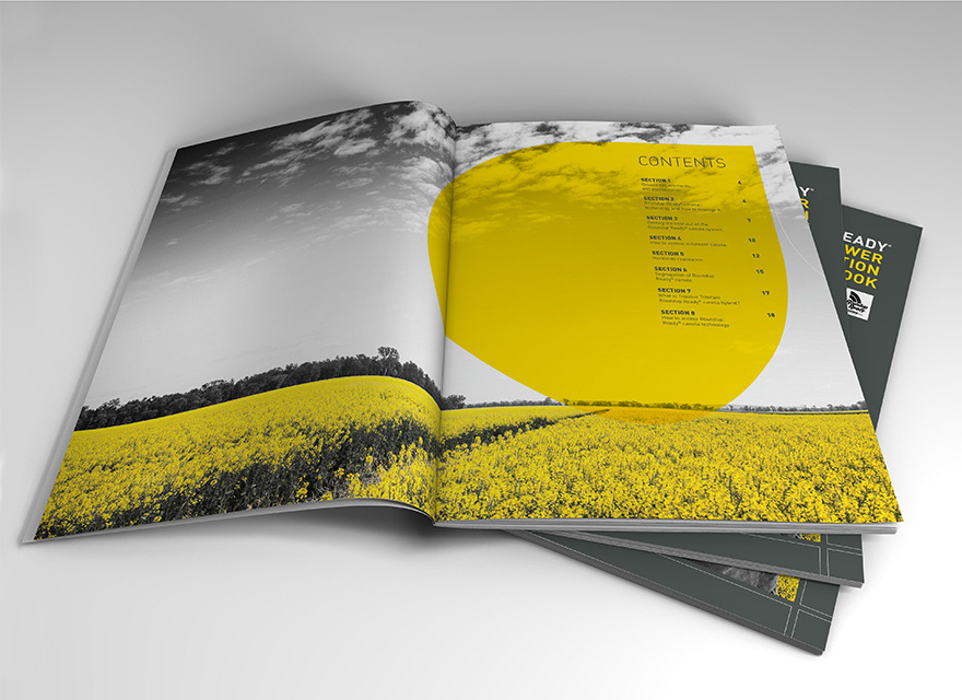 Canola book brochure type heavy modern simple yellow