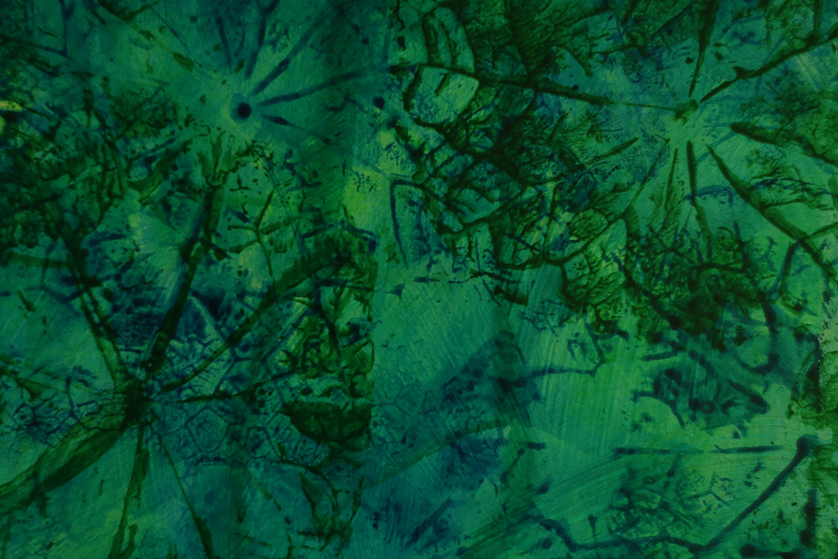 painting   Leaf Prints intuition Acrylic paint texture pattern green