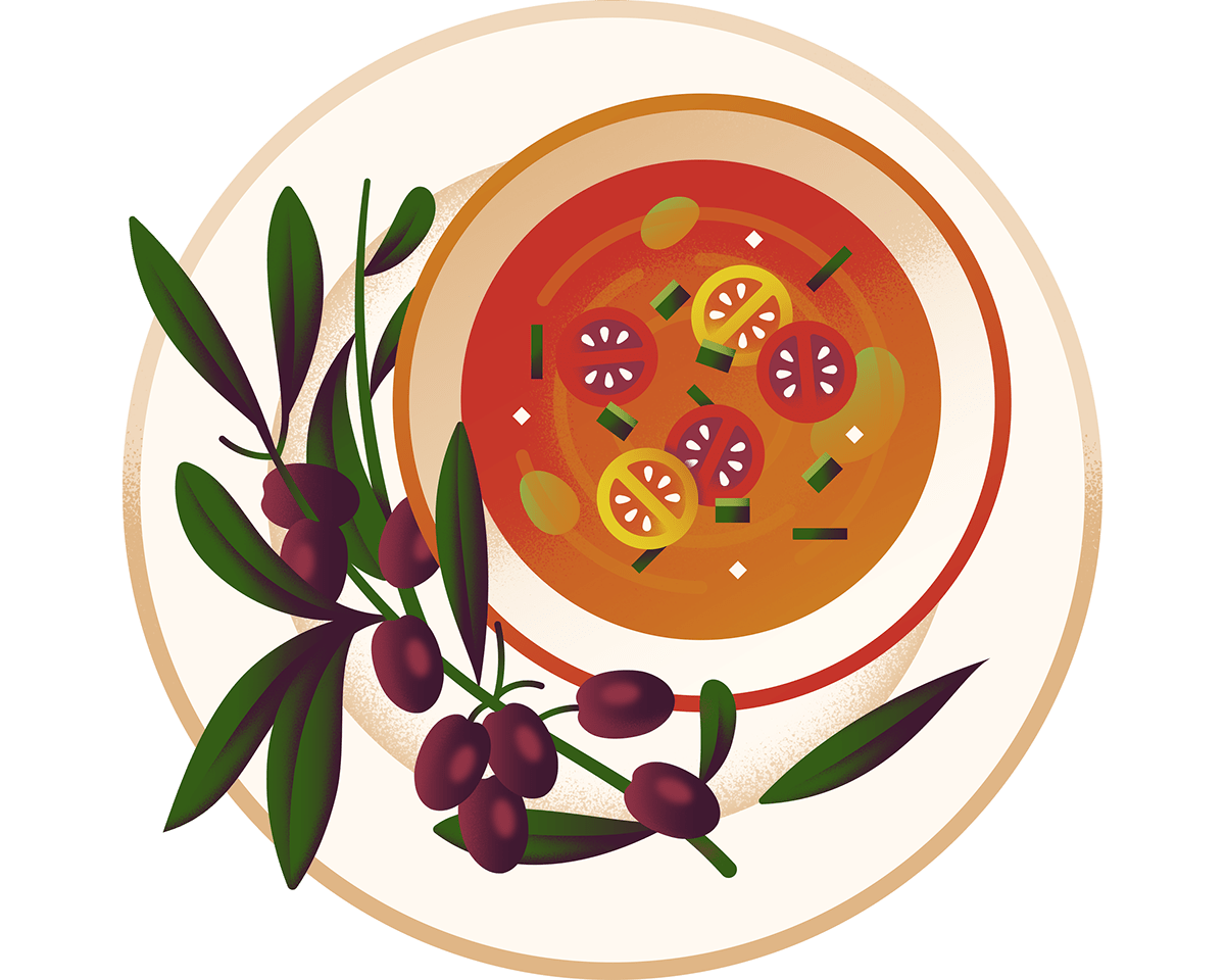 cooking editorial Food  green ILLUSTRATION  Illustrator minimal Olive Oil recipe vector